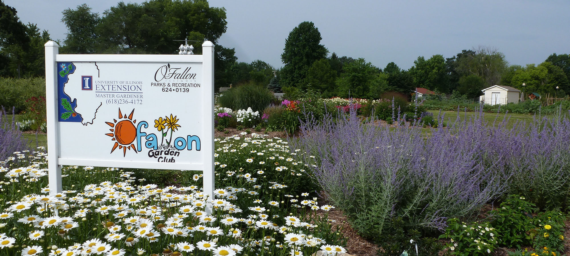 Community Garden in the Summer